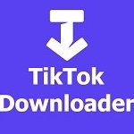 ssstikok and  Tiktok video Downloader